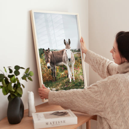 Donkeys in Connemara – Irish Countryside Wall Art Print