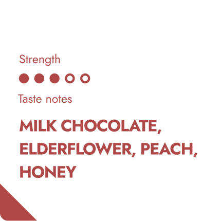 Costa Rica Coffeebrewer – Single Origin Tarrazu (Honey Processed)