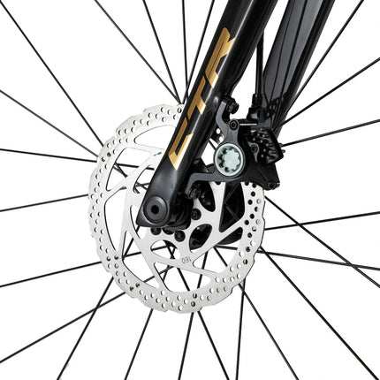 CTR 2.0 Rennrad (Fahrräder) kaufen bei Linkreich – Jetzt entdecken!