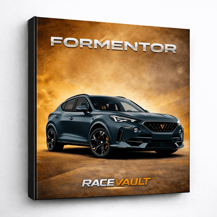 SEO. Cupra Formentor Schlüsselkasten – Premium RaceVault - Linkreich