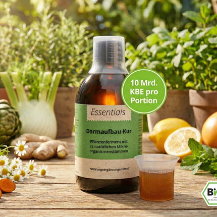 Darmaufbau-Kur Bio Ferment