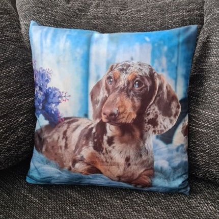 SEO. Dekorativer Tier Kissenbezug: Hund - 40cm x 40cm - Linkreich