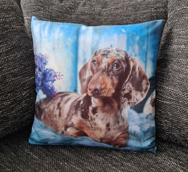 SEO. Dekorativer Tier Kissenbezug: Hund - 40cm x 40cm - Linkreich