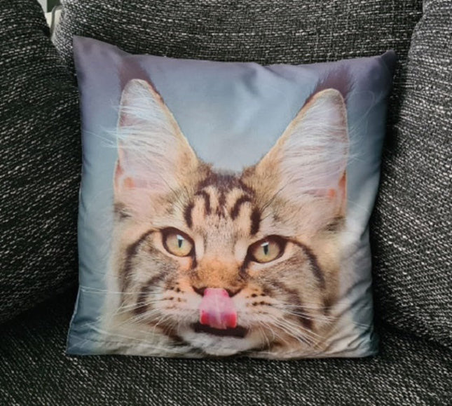 SEO. Dekorativer Tier Kissenbezug: Katze - 40cm x 40cm - Linkreich