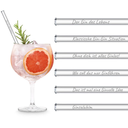 SEO. Der Gin des Lebens Edition gravierte mit 6 lustigen Gin Tonic Sprüchen - 20 cm Linkreich