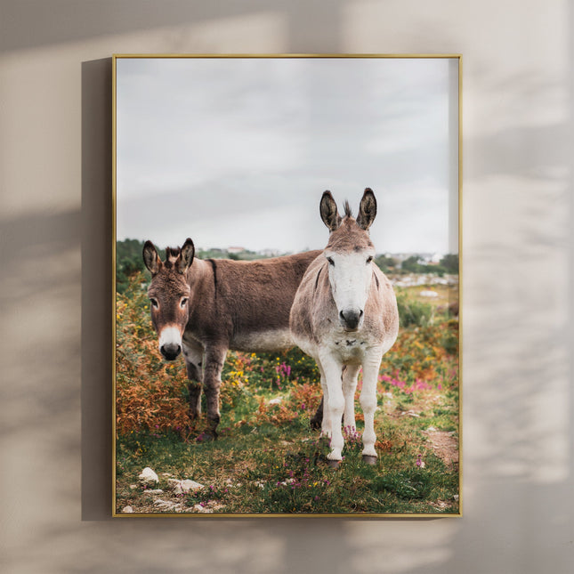 Donkeys in Connemara – Irish Countryside Wall Art Print