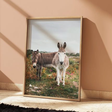 Donkeys in Connemara – Irish Countryside Wall Art Print