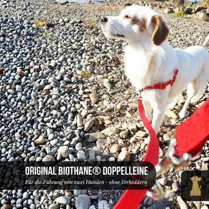 Doppelleine TECHTELMECHTEL aus BioThane® oder POP-Band - mit Edelstahlkomponenten - kein Verheddern