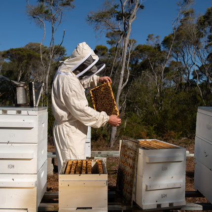 Raw Wildflower Honey 250g – Pure Australian Cold Extracted Natural Honey