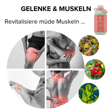 SEO. •Energie• Fuß - und Beingel mit Rosskastanie & Hagebuttenkernöl | Kühlende Naturkosmetik - Linkreich