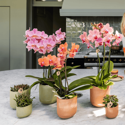 Flare Dekotopf Green – Ø12cm – Grüner Blumentopf mit Rillenstruktur – Retro - Design im Stil der Bold Seventies – Für Innenräume & stilvolle Pflanzenpräsentation (Plant) kaufen bei Linkreich – Jetzt entdecken!