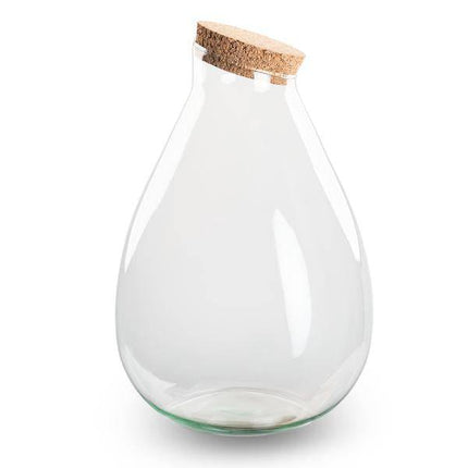 Flaschengarten - Terrarienflasche mit Kork - Geschlossenes Terrarium - Tropfen XL - ↑37cm – Aus recyceltem Glas (Plant) kaufen bei Linkreich – Jetzt entdecken!