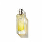 100 ml