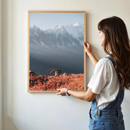 Ibex at Sunrise Print – Chamonix Wildlife and Mont Blanc Wall Art