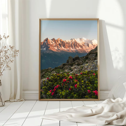 Mont Blanc Massif with Vibrant Flowers - Chamonix Wall Art Print