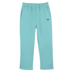 Beryl Blue / S