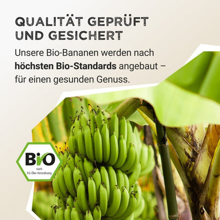 SEO. Fruit Powder - Banana - 150 g Linkreich