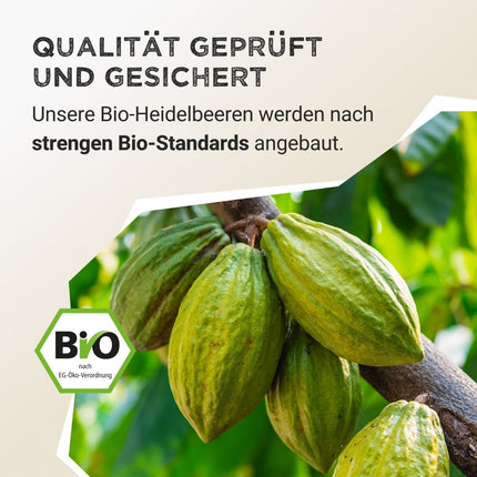SEO. Fruit Powder - Cacao - 125 g Linkreich