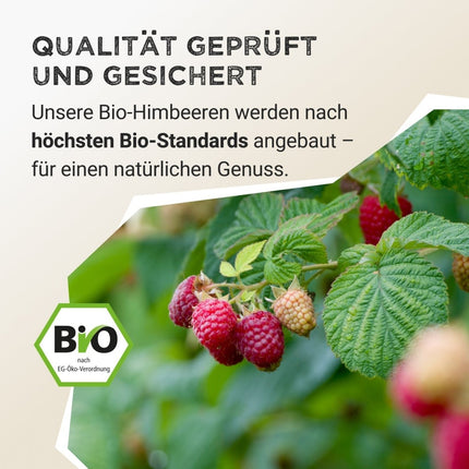 SEO. Fruit Powder - Raspberry - 125 g Linkreich