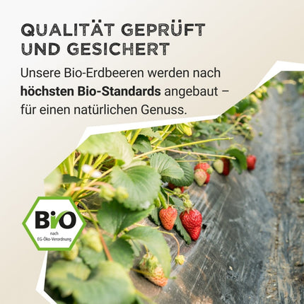 SEO. Fruit Powder - Strawberry - 125 g Linkreich