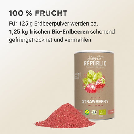 SEO. Fruit Powder - Strawberry - 125 g Linkreich