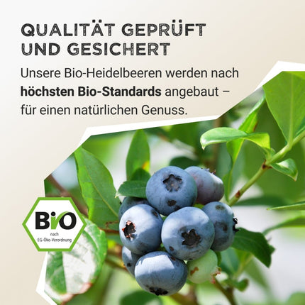 SEO. Fruit Powder - Wild Blueberry - 125 g Linkreich