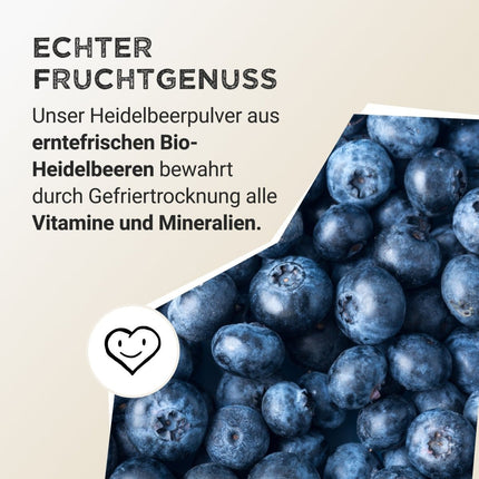 SEO. Fruit Powder - Wild Blueberry - 125 g Linkreich