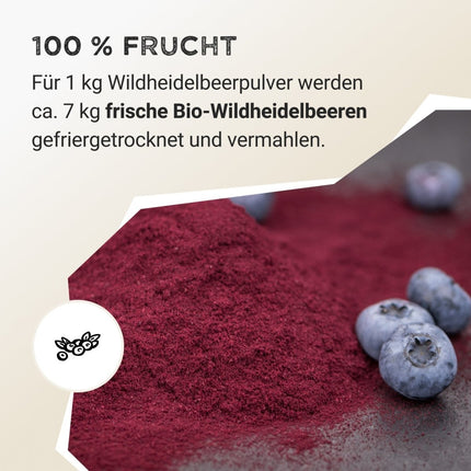 SEO. Fruit Powder - Wild Blueberry - 125 g Linkreich