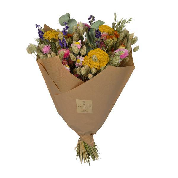 Getrocknete Blumen – Klassischer Blumenstrauß – Multi – ↕60cm – Elegantes Trockenblumenarrangement in Naturfarben – Langlebig & pflegeleicht – Dekoration & Geschenk (Plant) kaufen bei Linkreich – Jetzt entdecken!