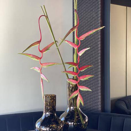 Glasvase Seim Gepard – H37cm B25cm – Mundgeblasene Vase mit Leopardenmuster – Dekorative Blumenvase & Wohnaccessoire (Plant) kaufen bei Linkreich – Jetzt entdecken!