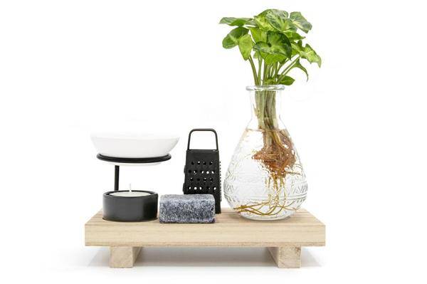 Glück in einer Box – Ø10 cm, Höhe 15 cm – Kompaktes Entspannungs - Arrangement für Zuhause & Büro – Geschenkidee für Stressabbau & Achtsamkeit (Plant) kaufen bei Linkreich – Jetzt entdecken!