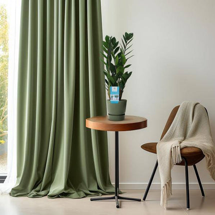 Glücksfeder – Zamioculcas Zamiifolia – pflegeleichte Zimmerpflanze – Ø14cm – ca. 55cm hoch – immergrün & robust (Plant) kaufen bei Linkreich – Jetzt entdecken!