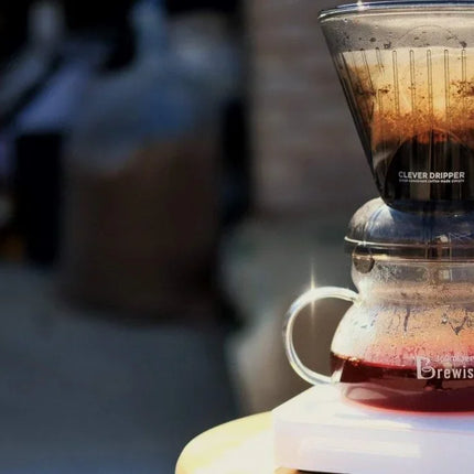 Clever Dripper 530ml