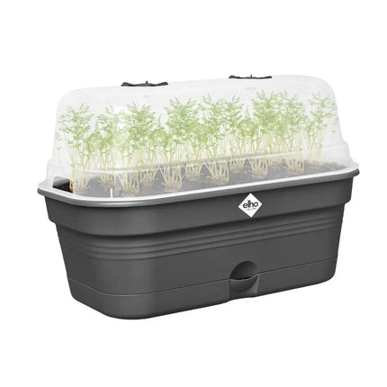 Elho - Green Basics - Anzuchtschale All-in-1 - L - Living Black Schwarz  ca.39cm