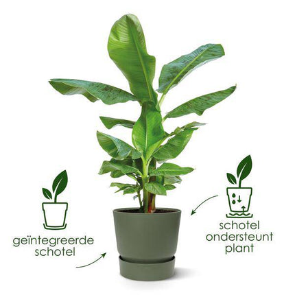 Greenville Pflanztopf Weiß – D18 x H17 – Moderner Blumentopf für Innen & Außen – Stilvolles Pflanzgefäß – Dekorativer Übertopf für Zimmer - & Gartenpflanzen (Plant) kaufen bei Linkreich – Jetzt entdecken!