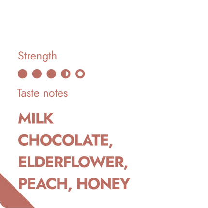 Guatemala Coffeebrewer – Single Origin Specialty Coffee