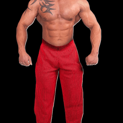 SEO. Gym - Hose - Trainings Hose - Bodybuilding Hose und Freizeithose - Pink Linkreich