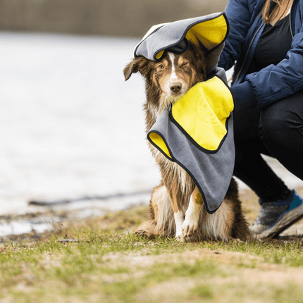 SEO. Handtuch BUDDY für Hunde - Linkreich