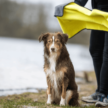 SEO. Handtuch BUDDY für Hunde - Linkreich