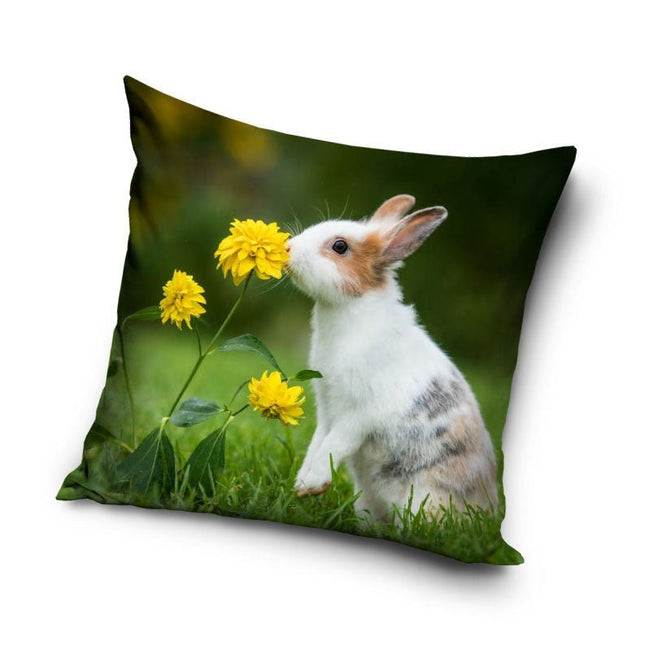 SEO. Hase Kaninchen Kissenbezug: Kissen - 40cm x 40cm - Linkreich