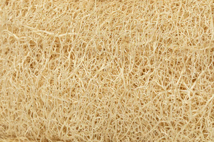 Hopery - Luffa Spülschwamm
