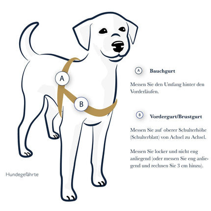 Anti-Stress-Geschirr STURMFREI®, Größe S für Kraftprotze