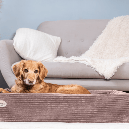 SEO. Hundebett KUDDE Cord - rose Linkreich
