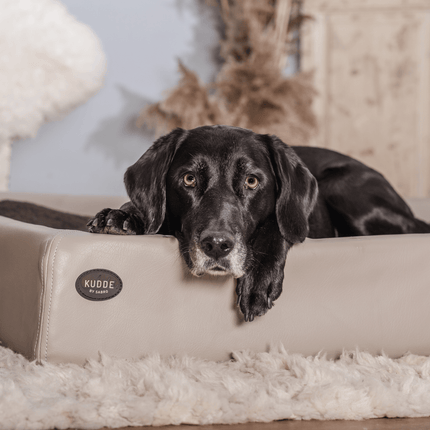 SEO. Hundebett KUDDE Kunstleder - moon Linkreich