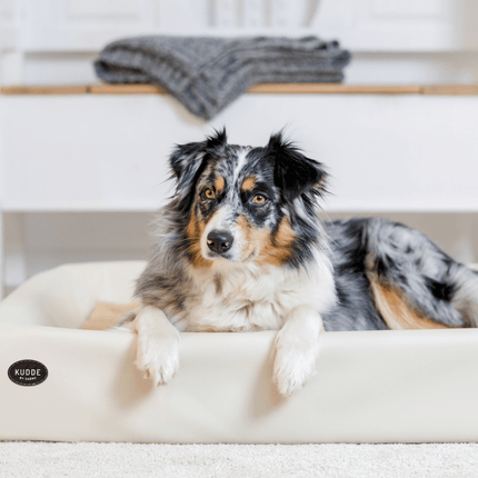 SEO. Hundebett KUDDE Kunstleder - sahara Linkreich