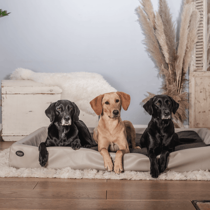 SEO. Hundebett KUDDE Kunstleder - moon Linkreich
