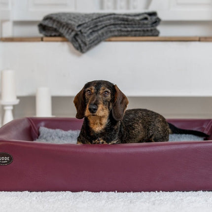 SEO. Hundebett KUDDE Kunstleder - brombeer Linkreich