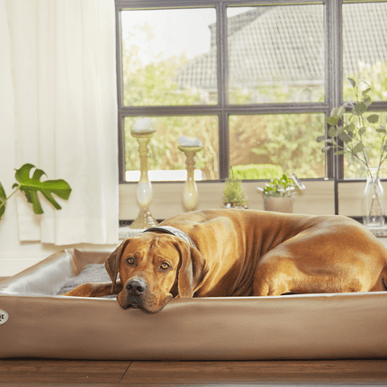 SEO. Hundebett KUDDE Kunstleder - chocolate Linkreich
