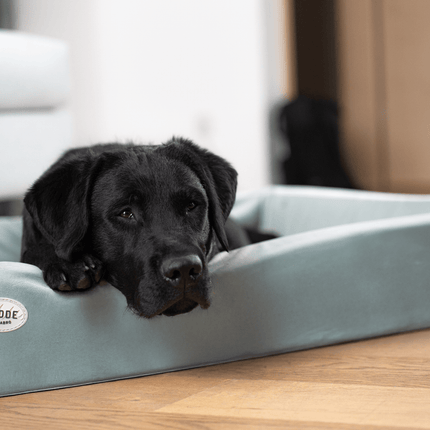 SEO. Hundebett KUDDE Samt - sage Linkreich
