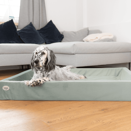 SEO. Hundebett KUDDE Samt - sage Linkreich